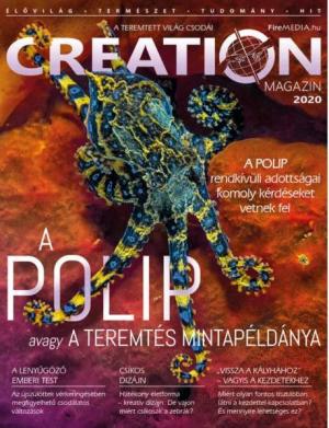 Creation Magazin 2020